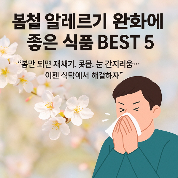봄철 알레르기 완화에 좋은 식품