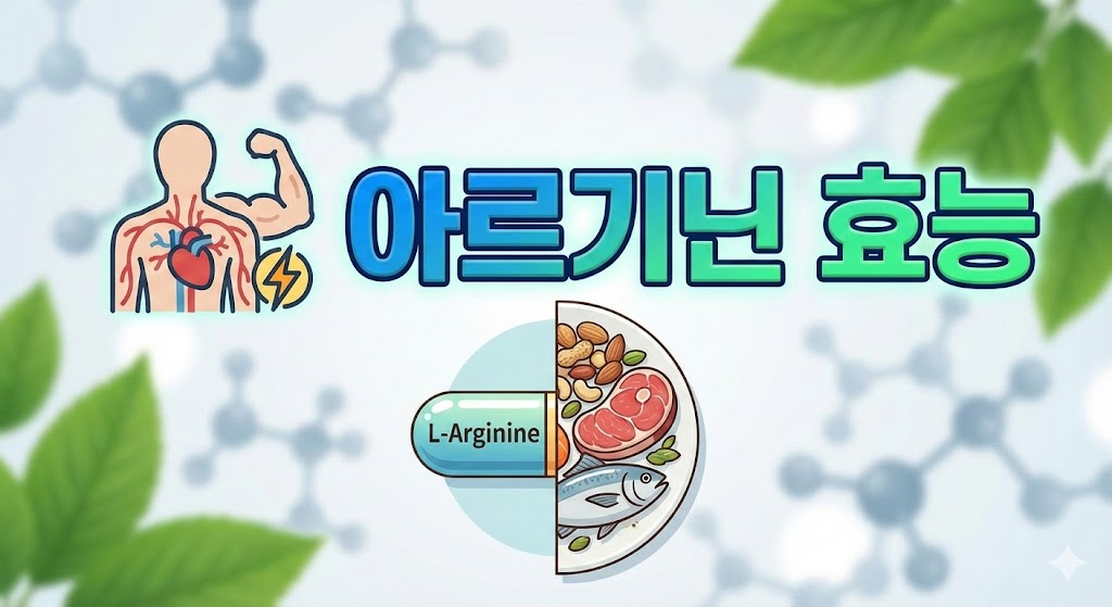 아르기닌의 효능