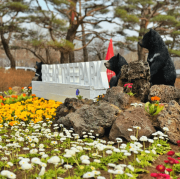 베어트리 파크 봄꽃축제와 관련된 사진