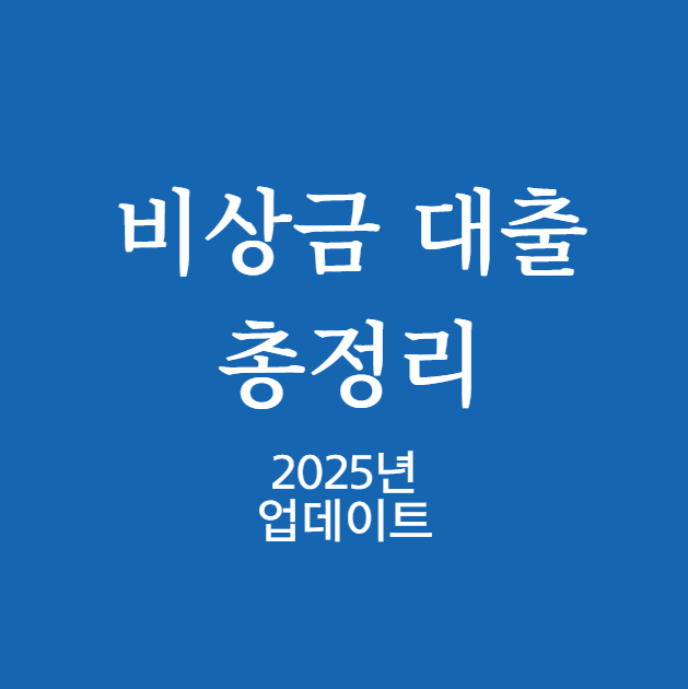 비상금 대출 총정리