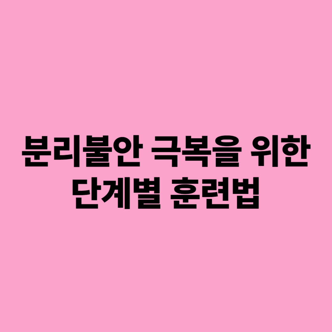 우리 강아지 문제행동 극복하기 분리불안과 과도한 짖음 해결 가이드!!
