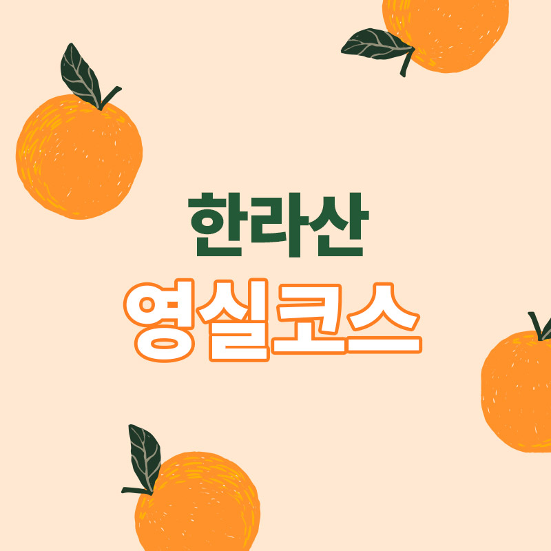 제주도 한라산 영실코스