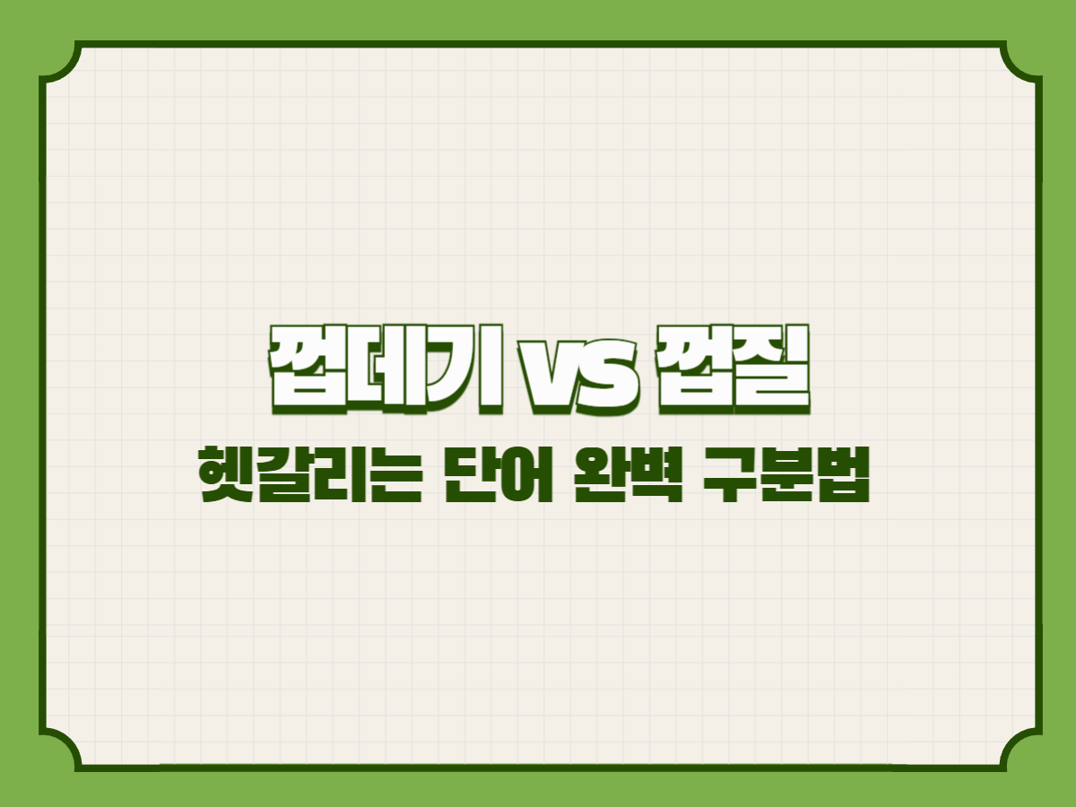 껍데기 vs 껍질 – 헷갈리는 단어 완벽 구분법