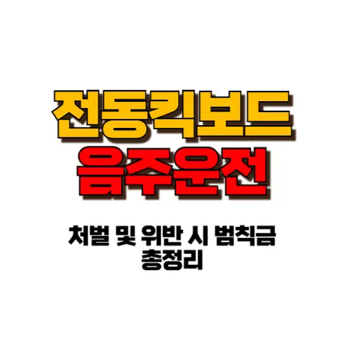 전동 킥보드 음주운전