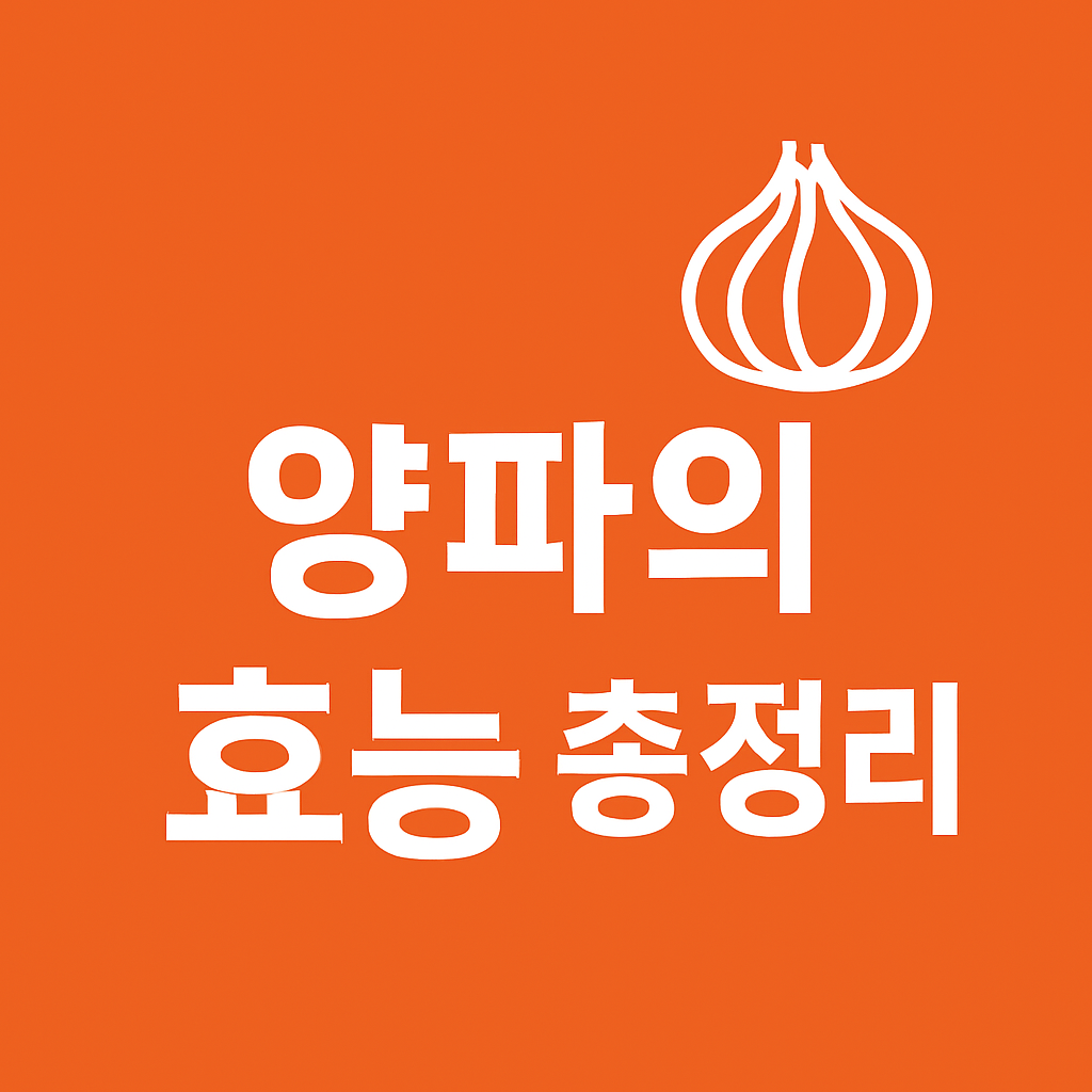 양파의 효능 총정리