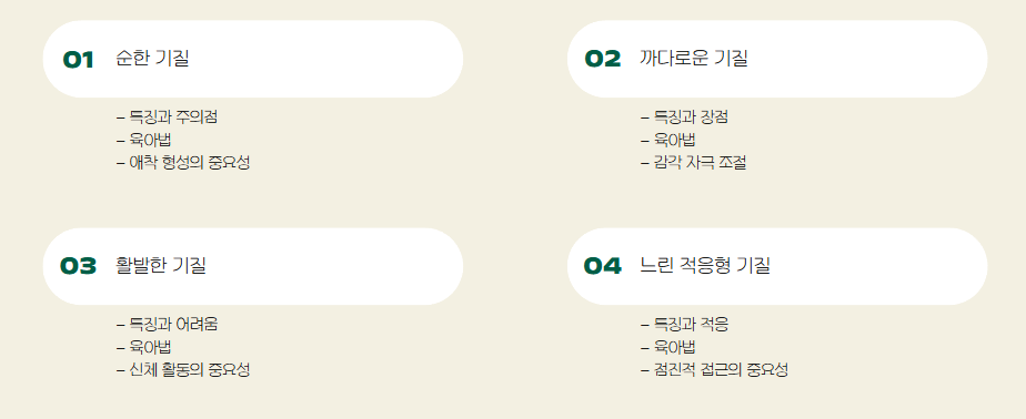 아기의-4가지-기질-육아방법