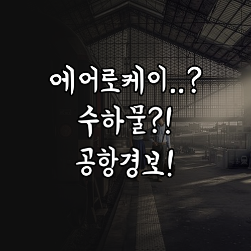 에어로케이항공 수하물, 공항에서 당하..