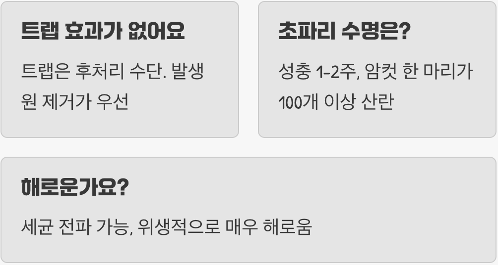 지긋지긋한 초파리없애는법&amp;#44; 박멸보다 중요한 서식지 원천봉쇄 5가지 꿀팁