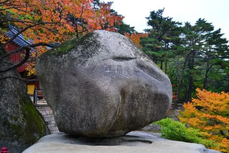 2025년 10월 국내 여행지 추천 TOP5 관련사진