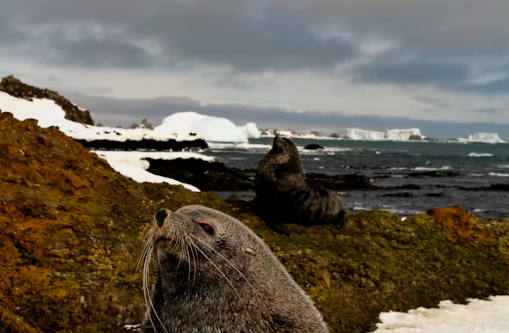 기후위기 대응 전문가: 탄소배출 감축을 설계하는 미래 기술자