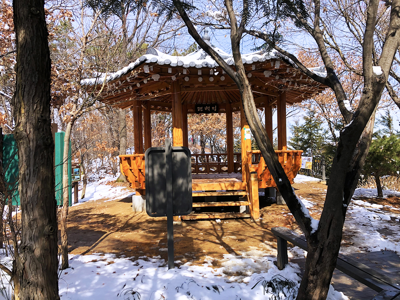 편백정