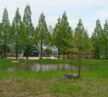물향기수목원 입장료&middot;운영시간 총정리 &amp;#44; 근처 맛집