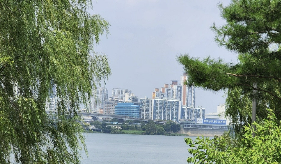 Alt 속성 문제 해결 설명 이미지