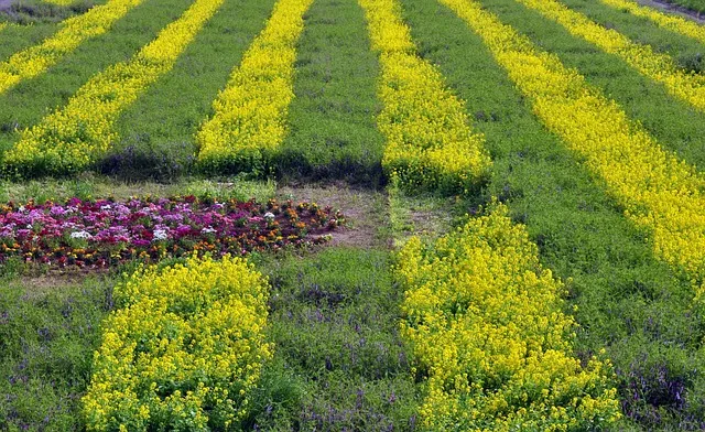 구천 치욕 복수 오월동주 와신상담 뜻 유래 의미_3