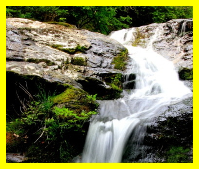 자연휴양림 지도보기&amp;#44; 국립자연휴양림 위치기반 예약&amp;#44; 국립휴양림 서울 근교&amp;#44; 수도권 자연휴양림&amp;#44; 강원도 자연휴양림&amp;#44; 전라도 국립휴양림&amp;#44; 경상도 자연휴양림&amp;#44; 제주도 국립휴양림&amp;#44; 도심근처 자연휴양림&amp;#44; 자연휴양림 가족숙소&amp;#44; 국립휴양림 단체객실&amp;#44;