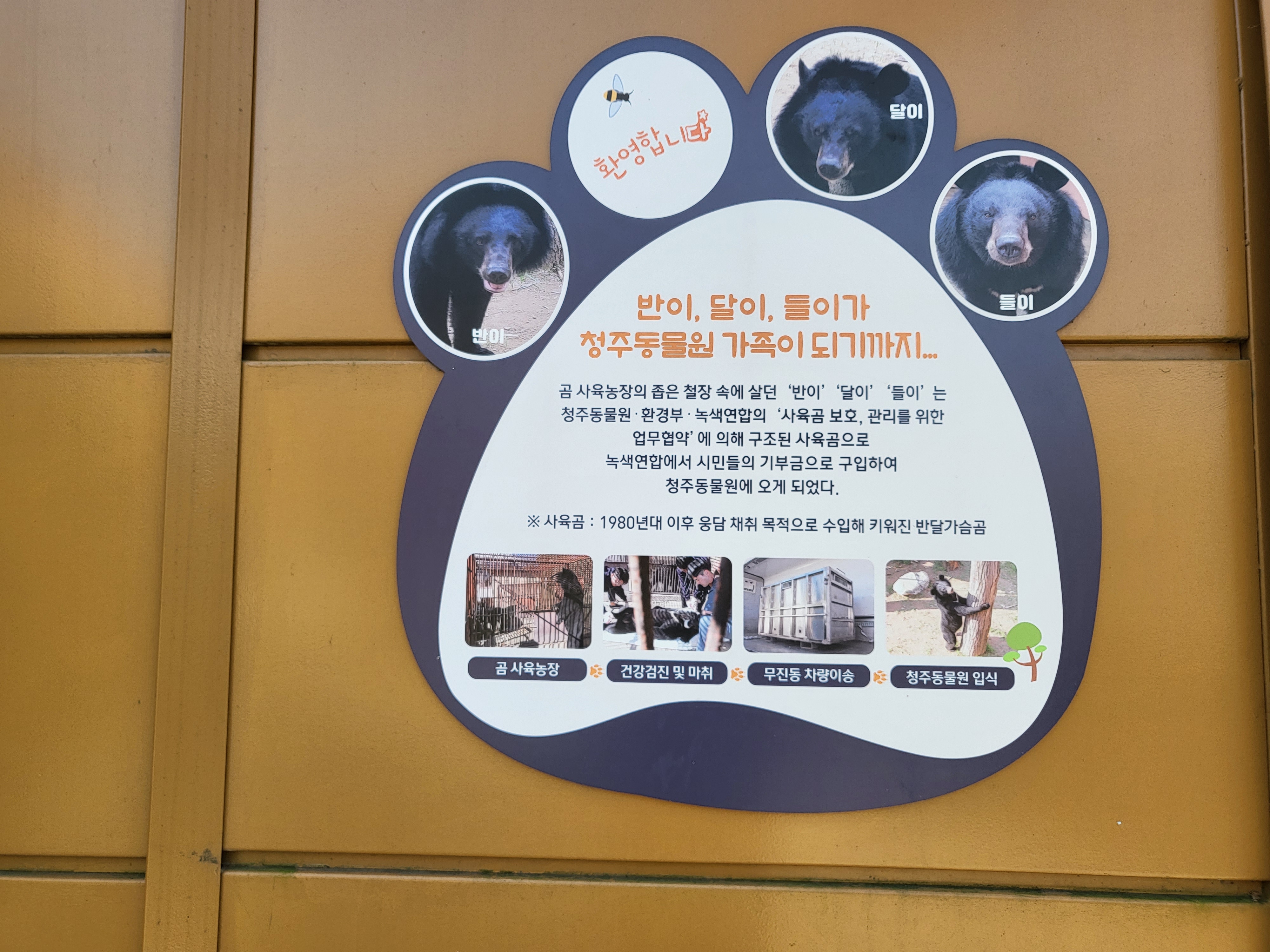 청주 동물원 - 반달곰