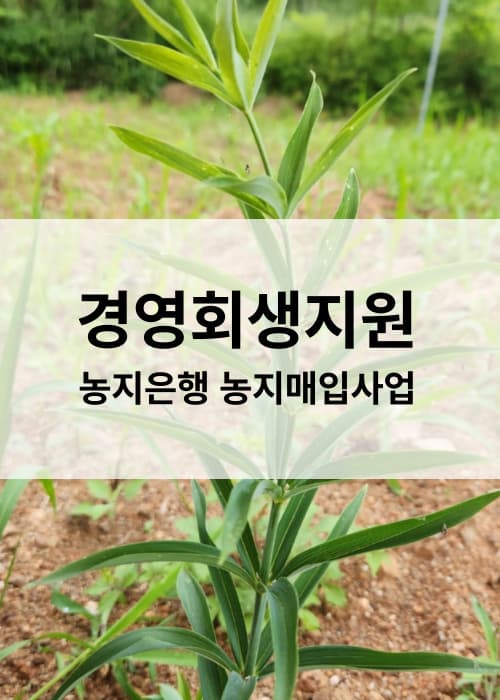 농지은행부채농가경영회생지원농지매입사업