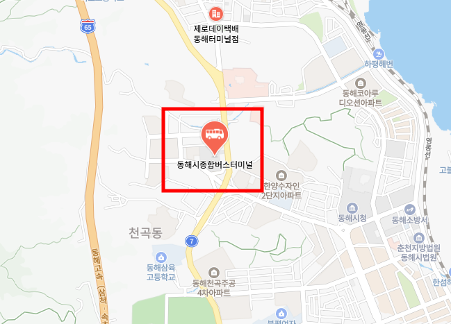 동해고속버스터미널 지도위치