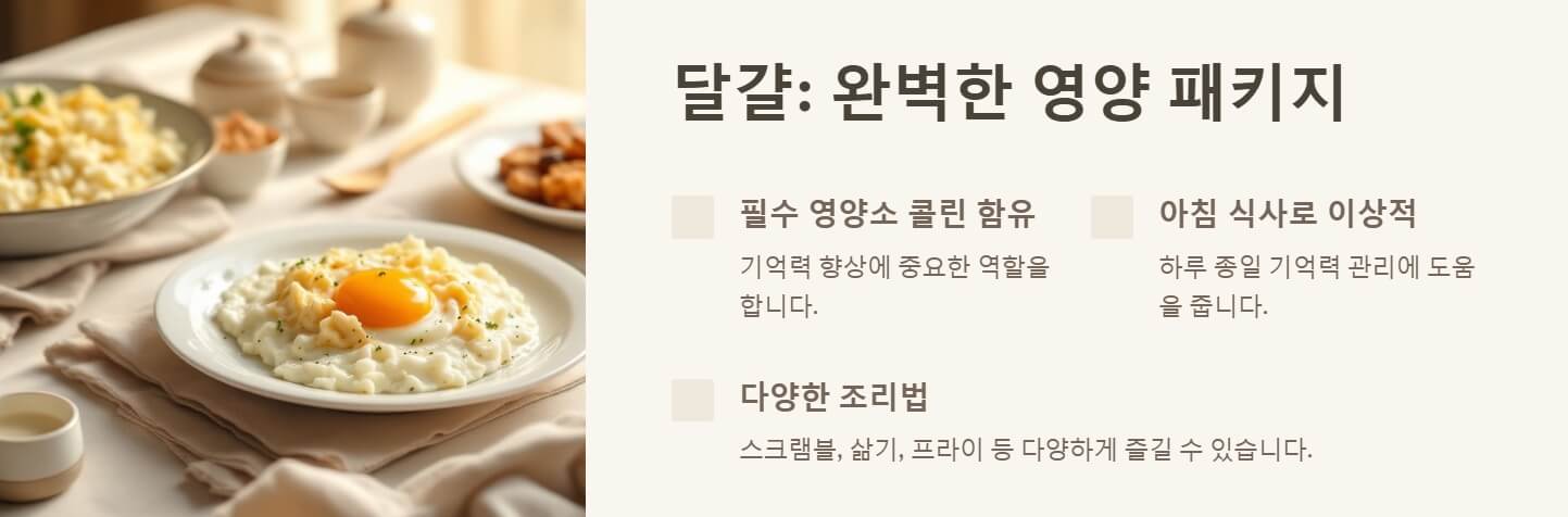 기억력 좋아지는 방법 음식