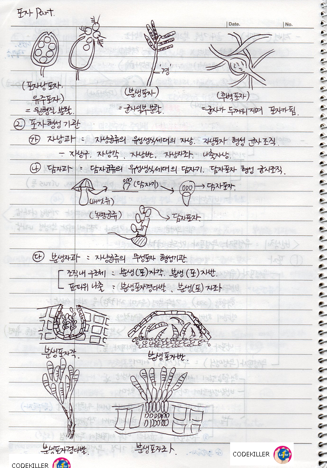 포자형상기관 : 자낭과, 담자과, 분생자과