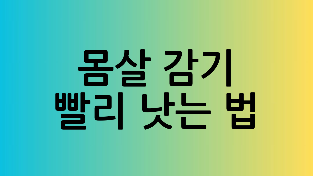몸살 감기 빨리 낫