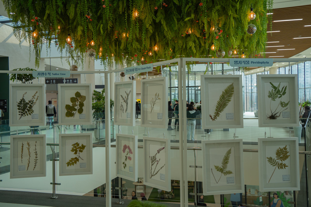일월 수목원 내부