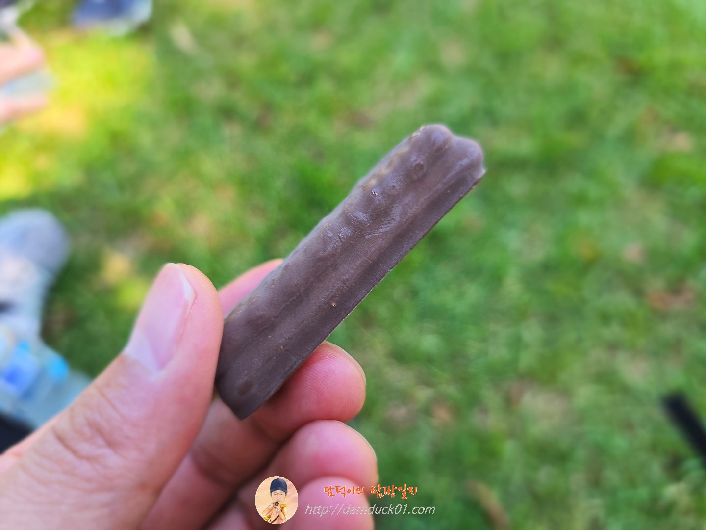 팀탐 (TIMTAM)