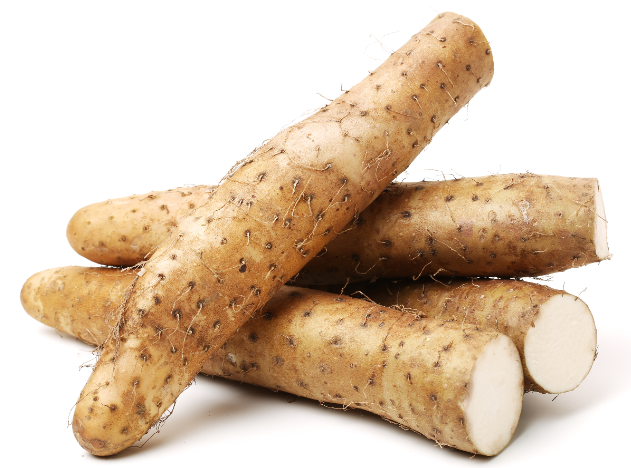 참마의 영양과 효과 효능&middot;조리법&middot;보존법