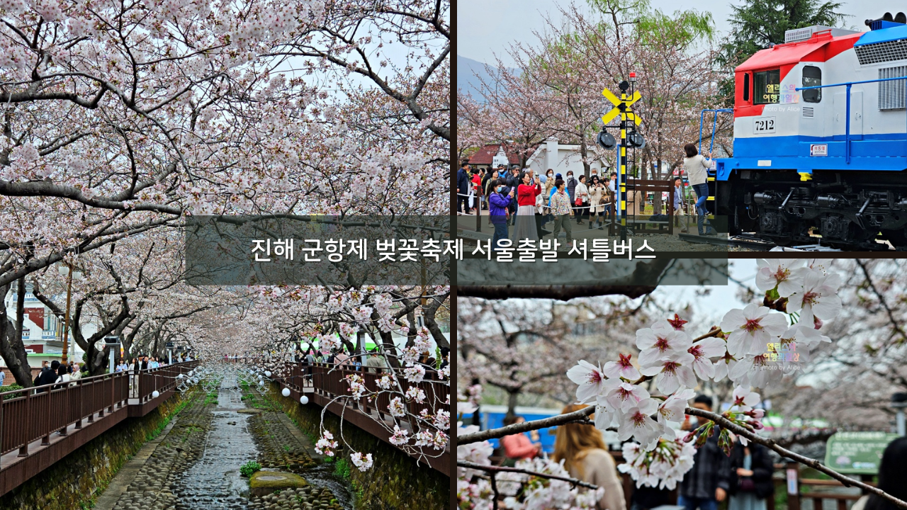 진해 군항제 벚꽃축제 서울출발 셔틀버스 예약방법 명소 기간 전국 벚꽃 명소 추천
