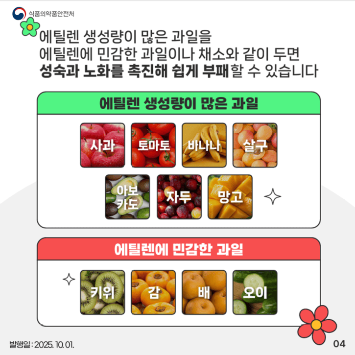 냉장고 사과 보관 꿀팁 ❘ 일주일 더 신선하게 먹는 방법