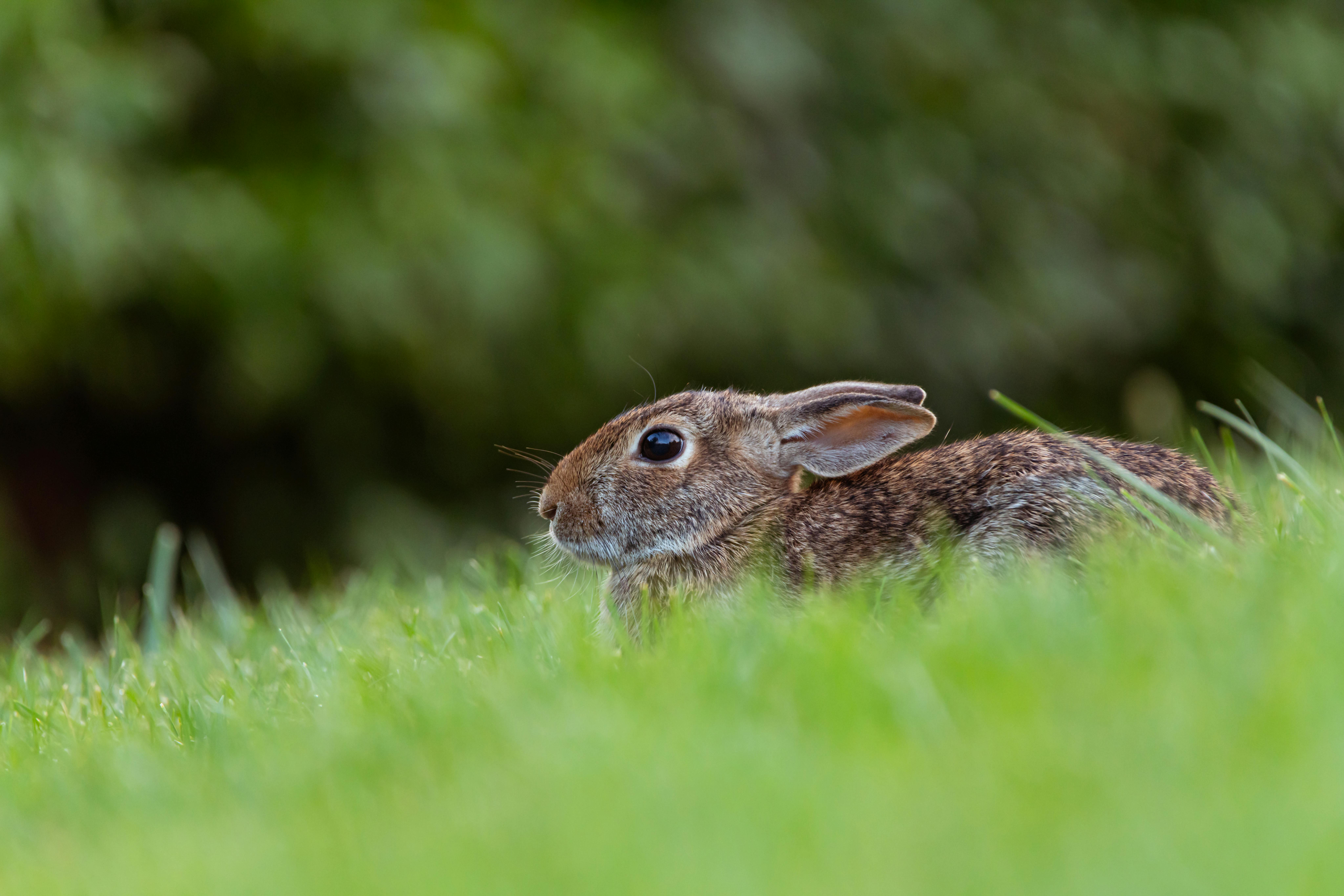 화장실이 너무 깨끗하고 편안한 느낌의을 상징하는 이미지
