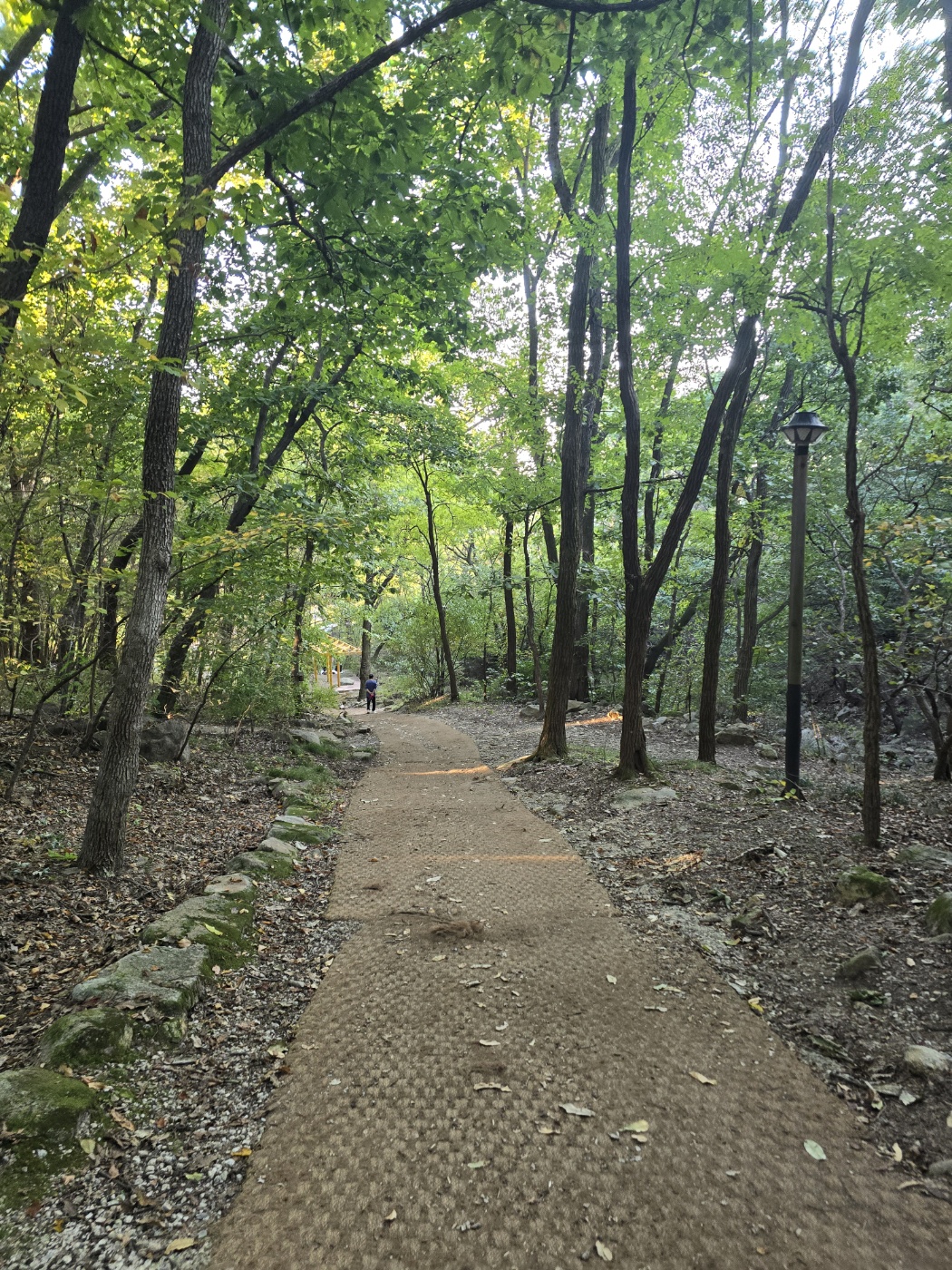 좀더 수월한 명상의 숲 길