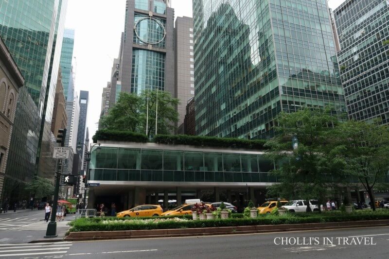 뉴욕 레버하우스의 원경