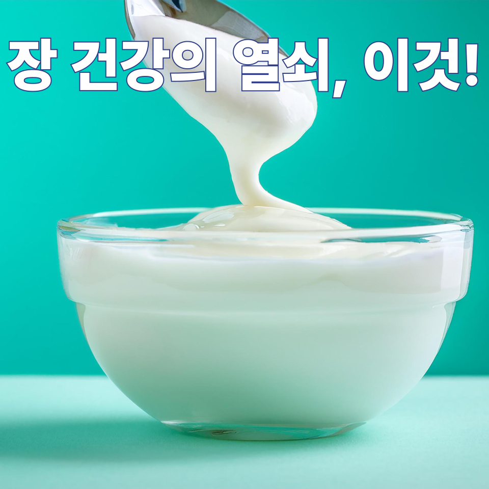 장 건강의 열쇠, 이것
