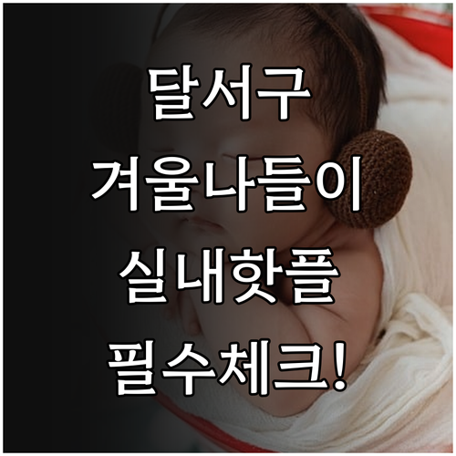 달서구 겨울 나들이 장소 및 실내 문..