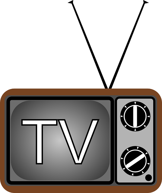 대통령선거 TV토론 일정