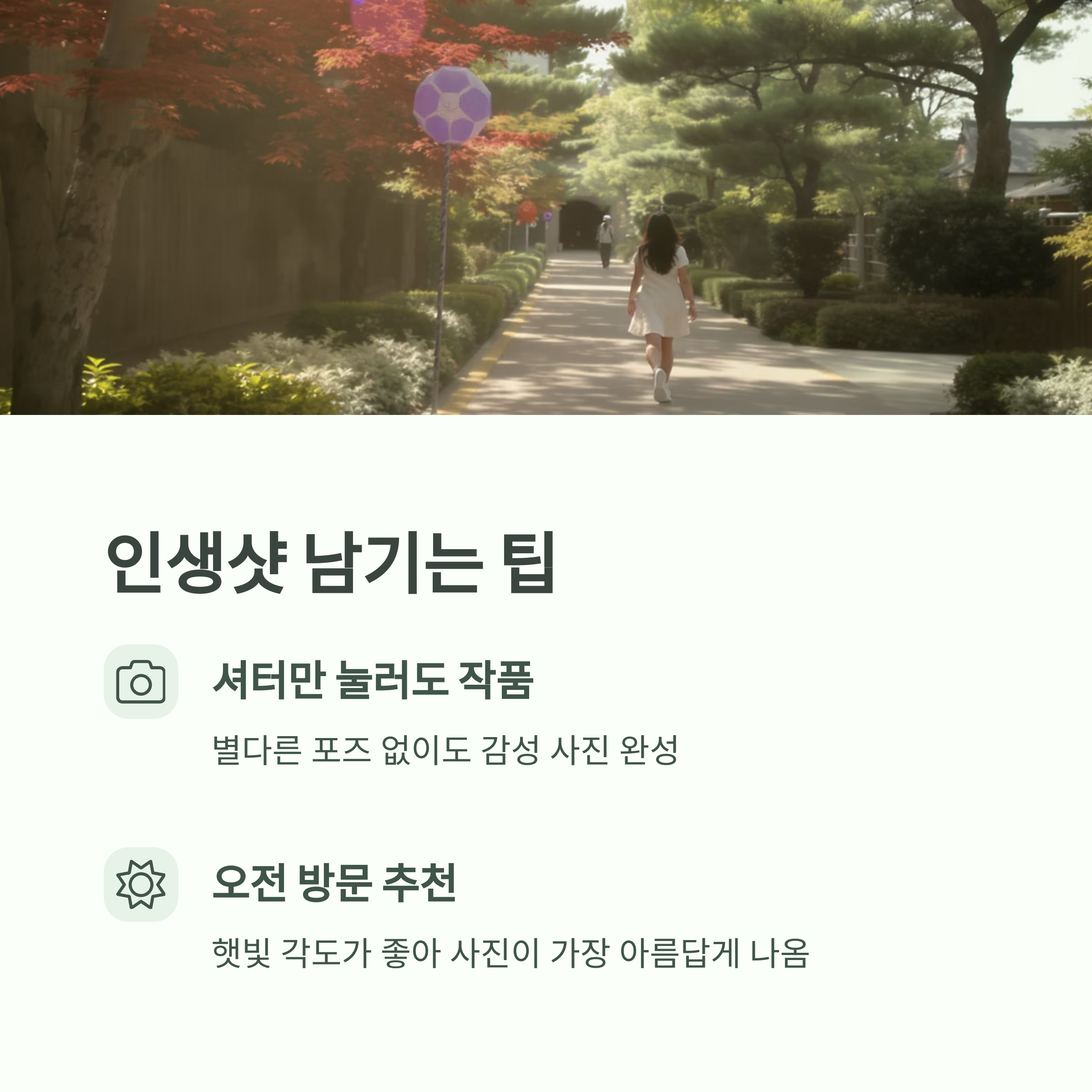 인생샷명소