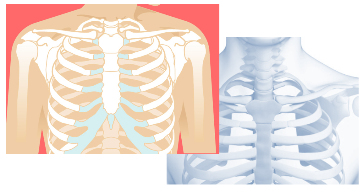 가슴-가운데-통증10