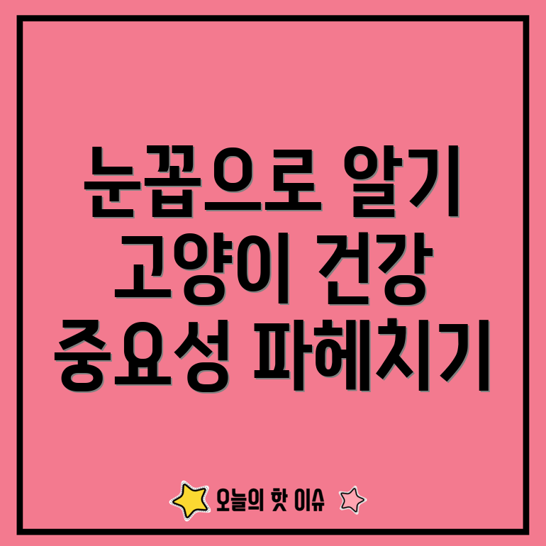 고양이 눈꼽