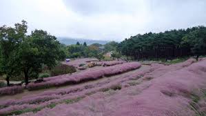 10월 가볼만한곳 베스트 