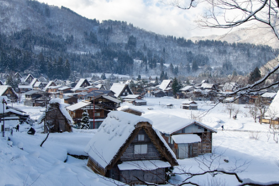 [1-2월 일본 여행 준비물] 날씨. 해외로밍. 교통패스. 추천앱 (2025최신)