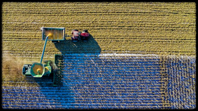 2025년 직불금 신청 방법 완벽 가이드! 신청기간부터 자격까지 총정리