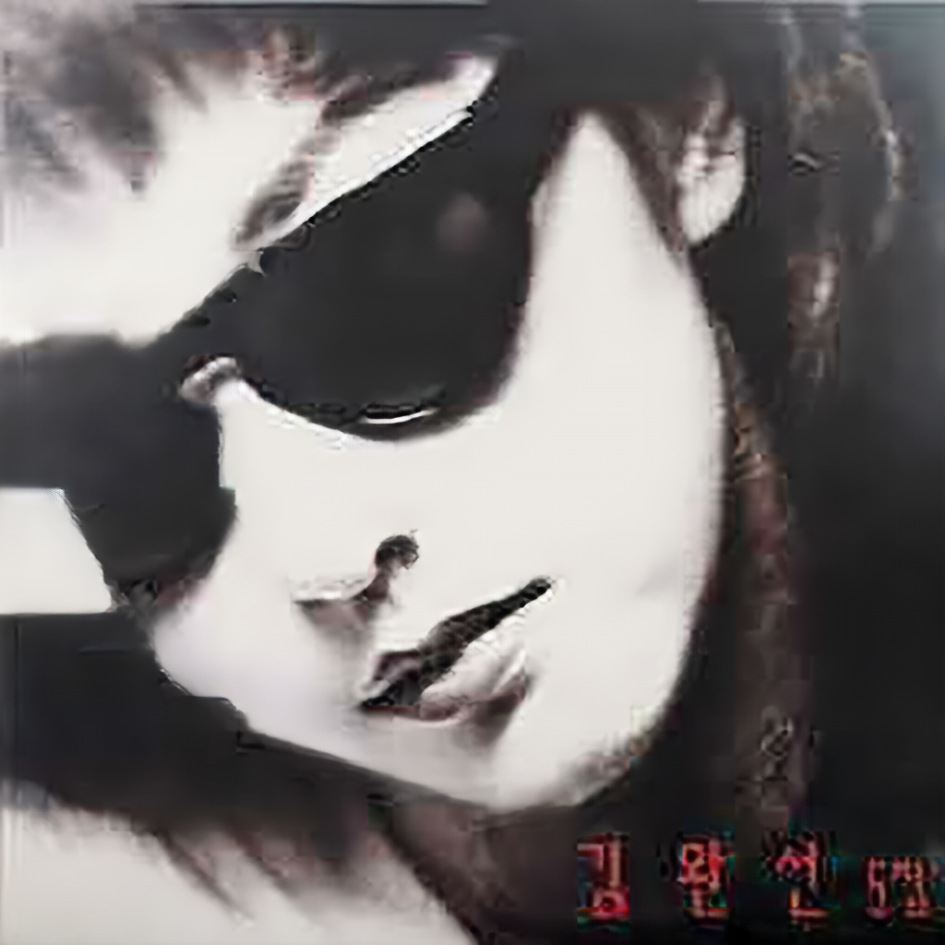 김완선 정규 앨범 5집