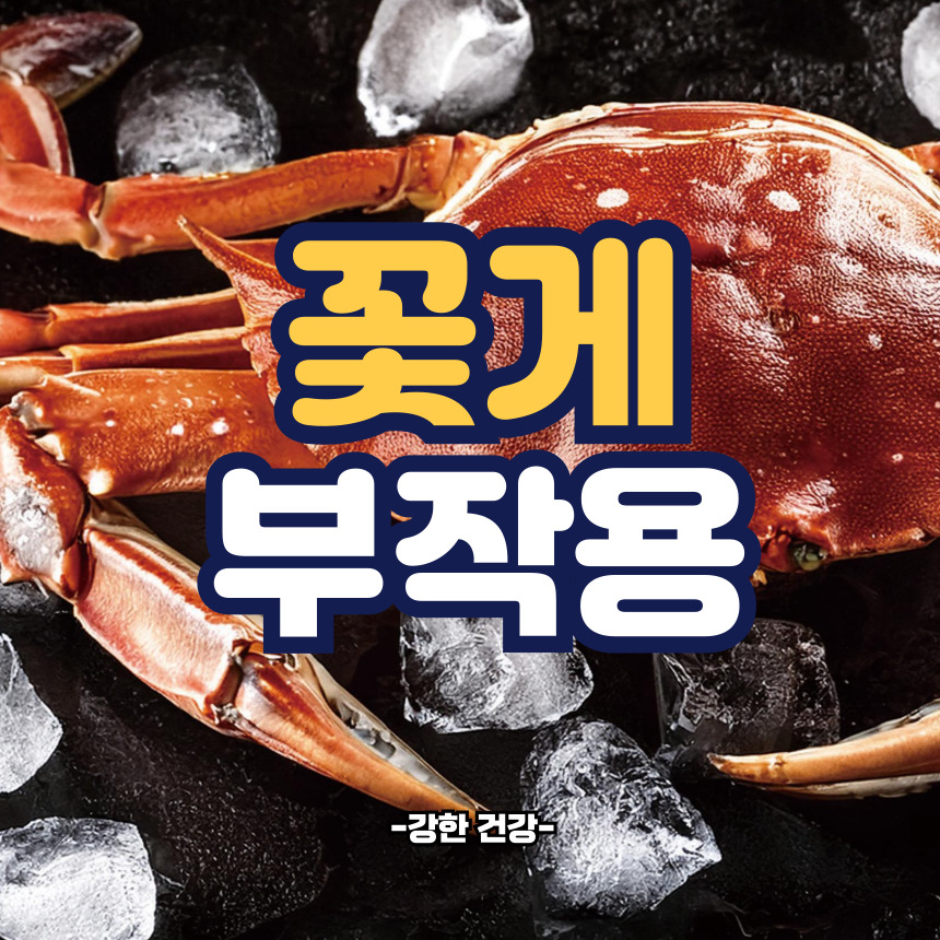 꽃게 부작용