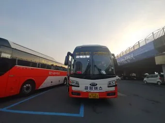 울산 공항 공항버스 리무진 시간표 예매 요금 타는곳_5