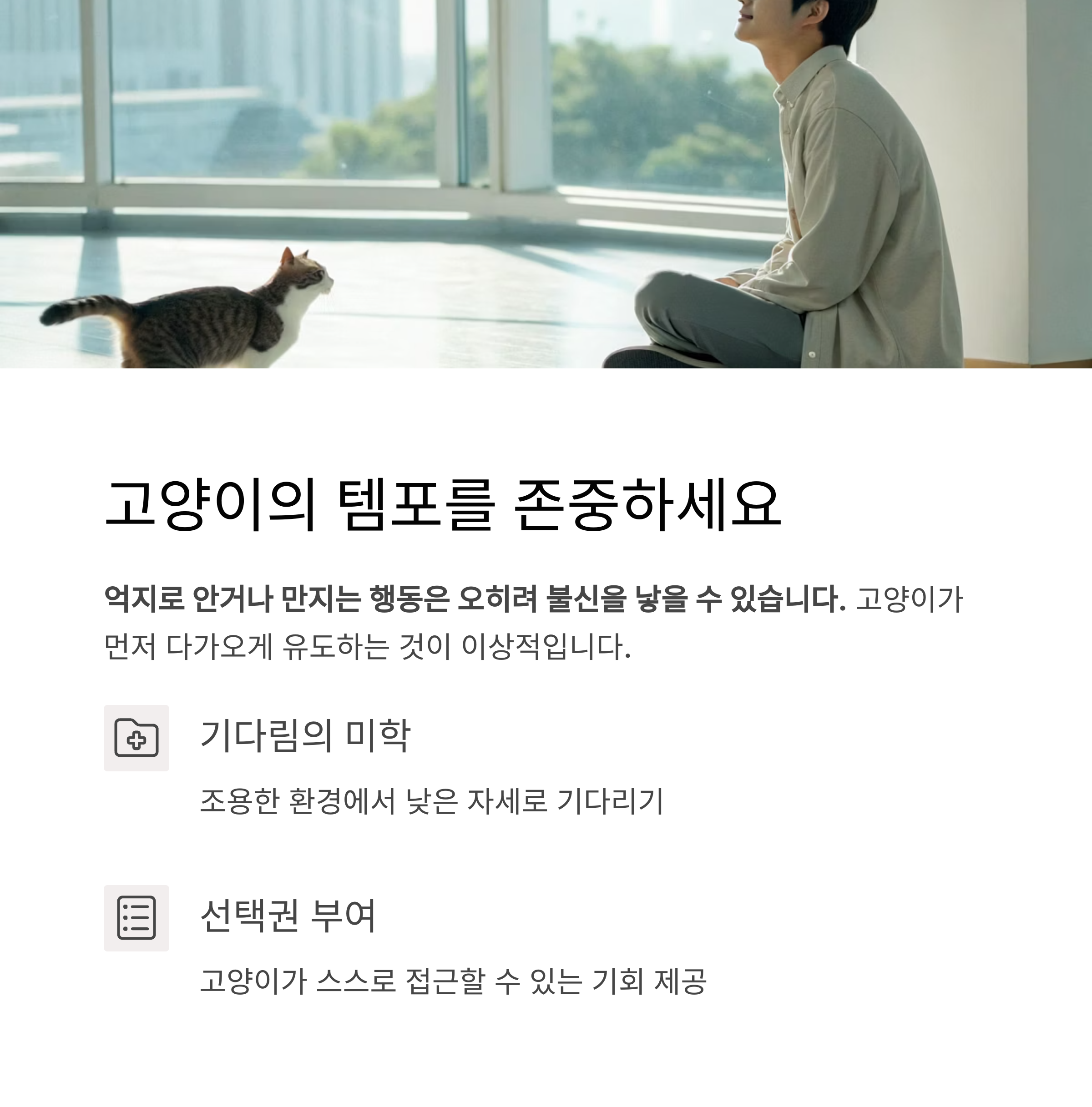 고양이의 템포를 존중하세요