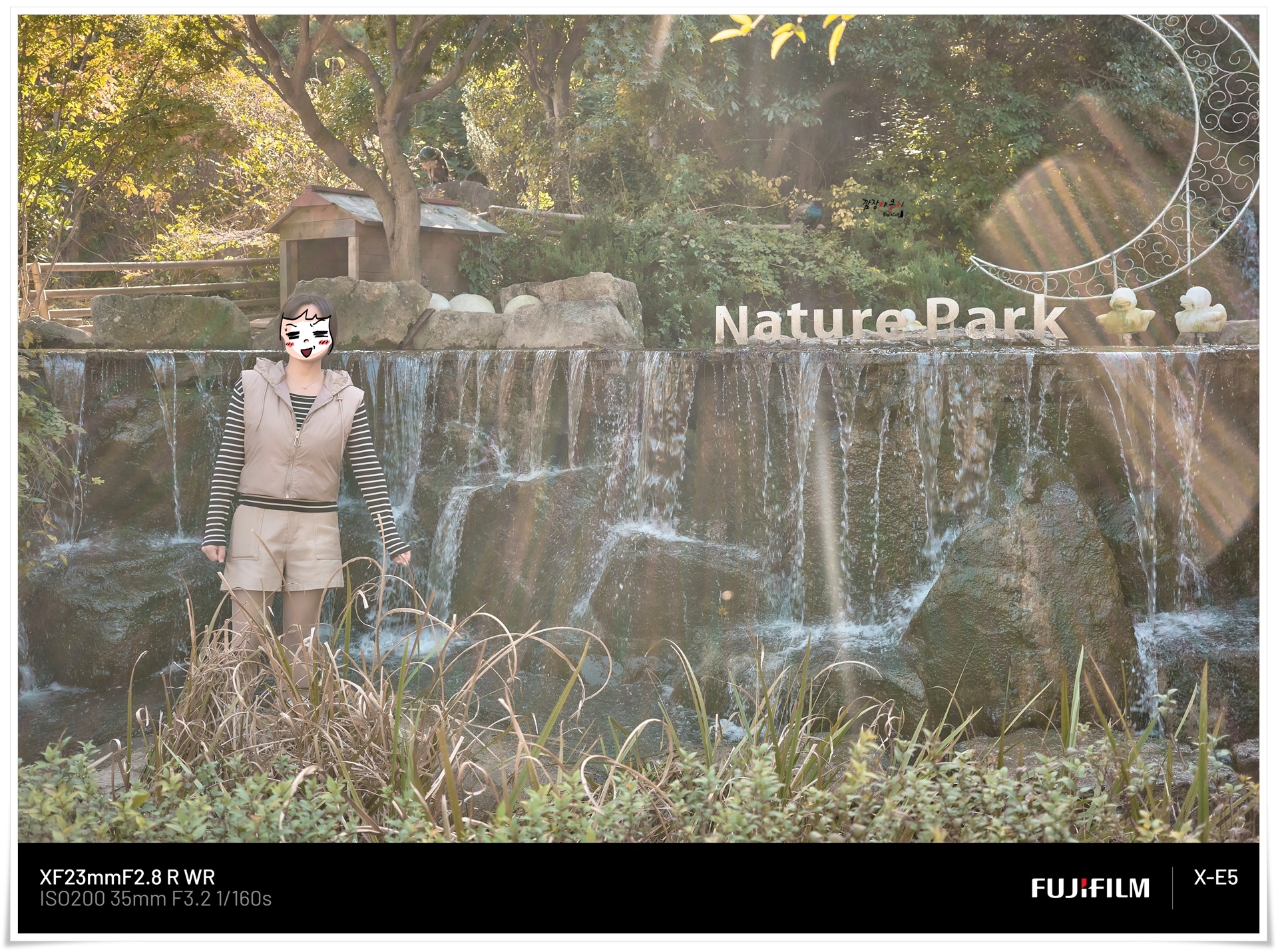 부산에 동물원이 없어 아기 백사자 보러 대구 네이처파크 동물원을 방문하다.