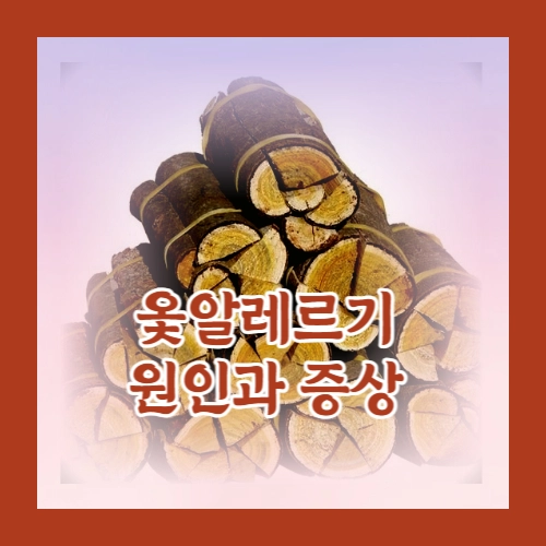 옻알레르기증상과원인