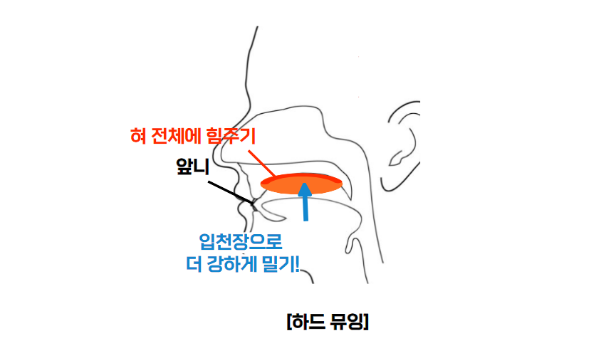 하드 뮤잉