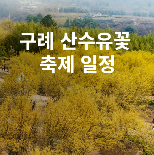 구례 산수유꽃 축제 행사 일정